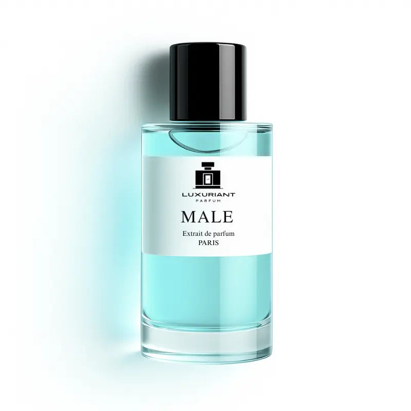 Dupe parfum inspiré le male