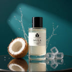 Equivalent-mula-unisexe